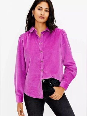 LOFT Fuchsia Corduroy Button-Down Shirt